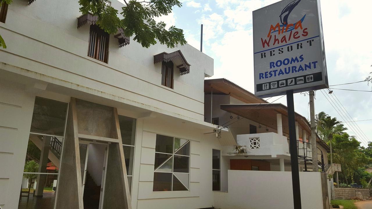 Mira Whales Resort Mirissa Εξωτερικό φωτογραφία